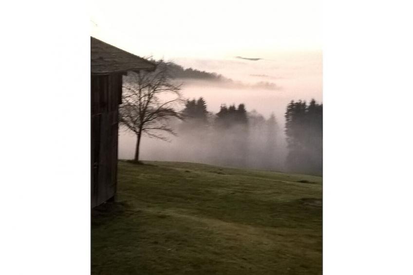 331008 - foto 8