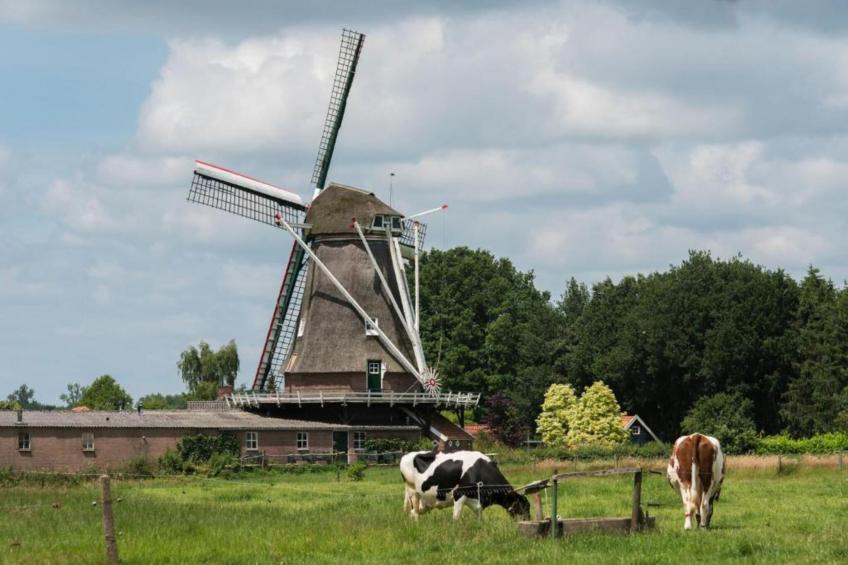 Vakantiepark De Lochemse Berg 1 - foto 33