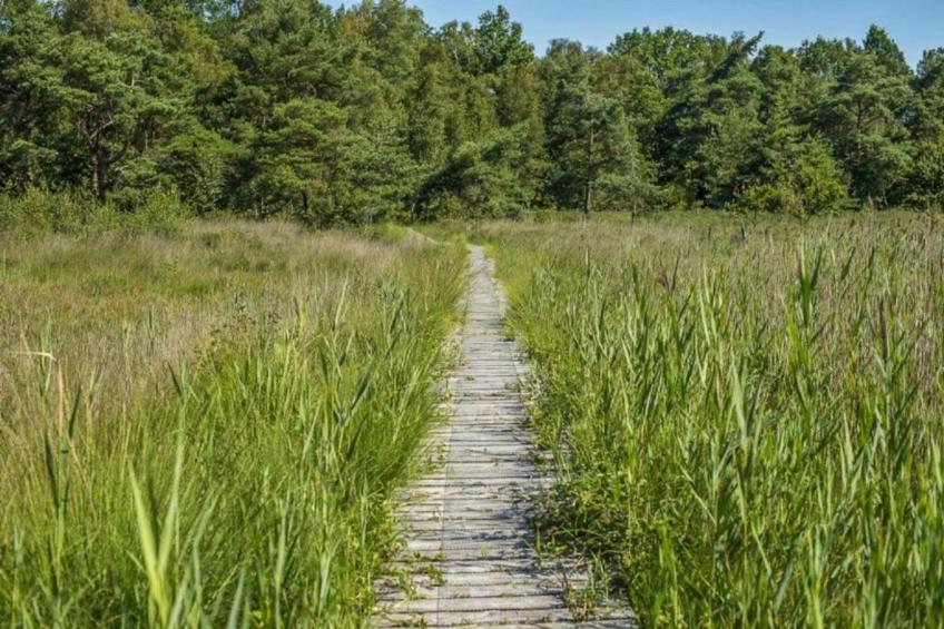 Parc de Kievit - foto 36