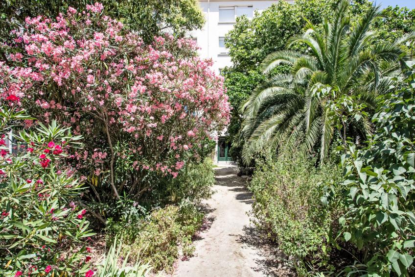 La petite Réal - foto 16