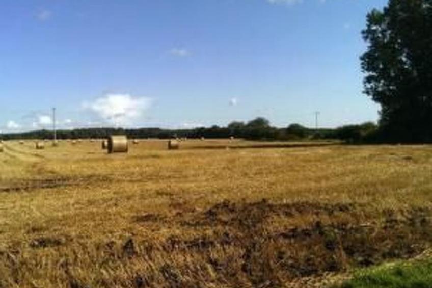 in Vorland mit Grill und Garten - foto 8