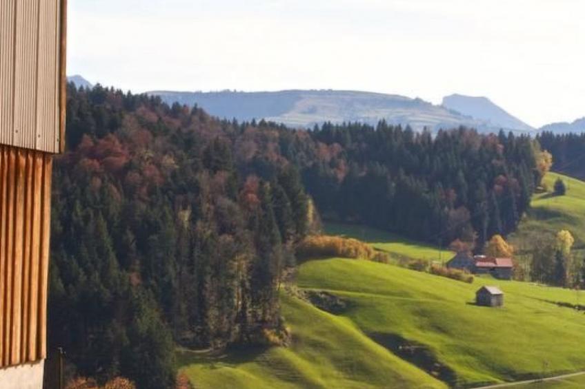 Hasenbüel - foto 17