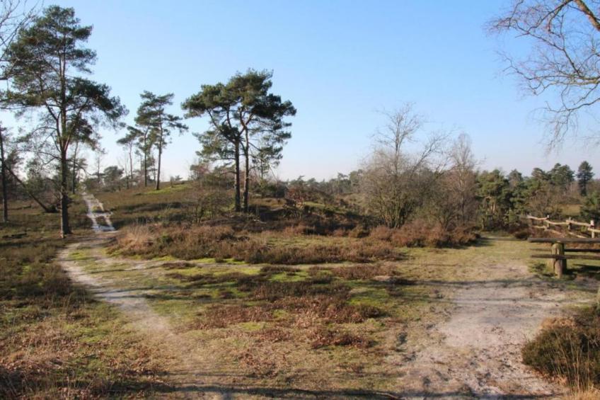 Vakantiepark Leukermeer 12 - foto 34