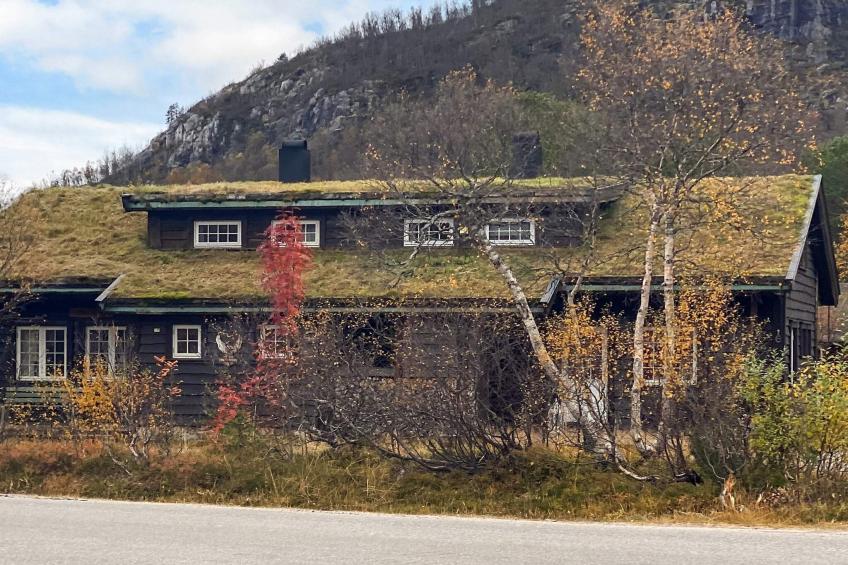 30653-PØLSEBU - foto 2