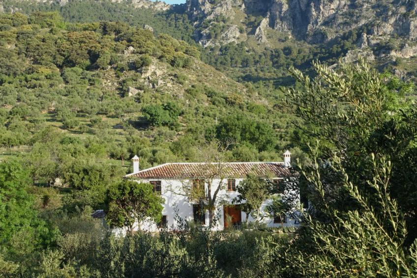 Gemütliches Landhaus Betania in Grazalema - foto 2