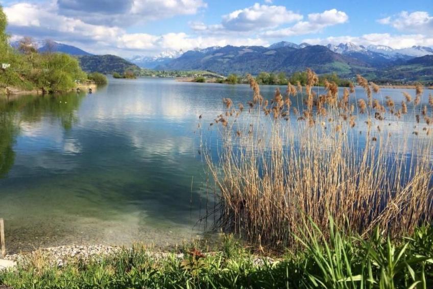 3-Zimmer Ferienwohnung Rapperswil am Zürichsee - foto 32