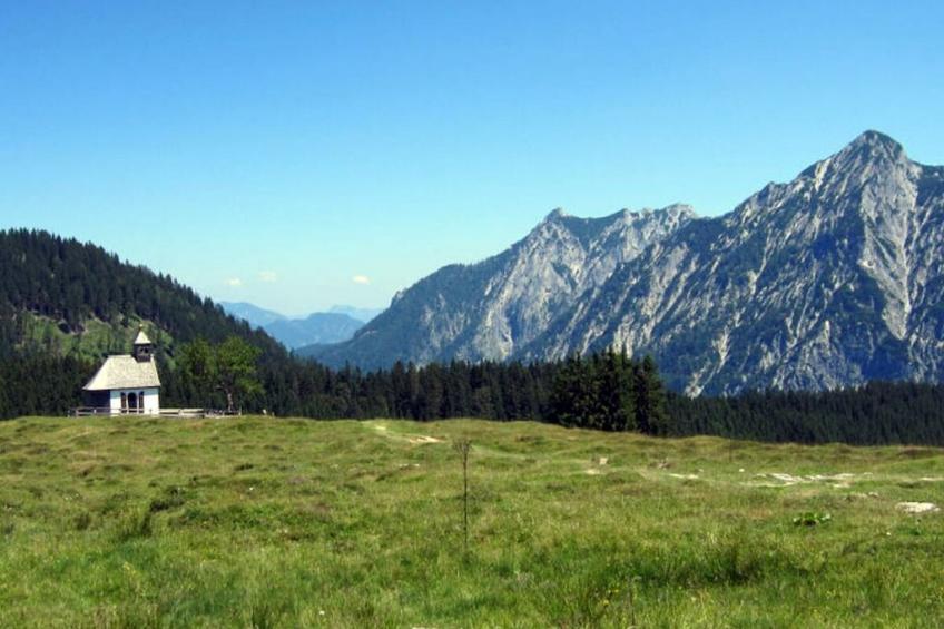 217834 - foto 18