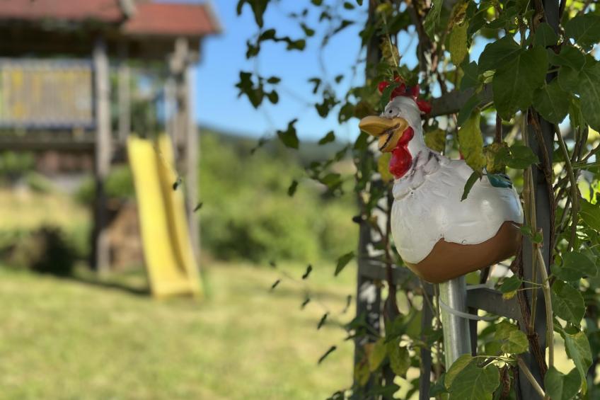 Im Zellertal - foto 33