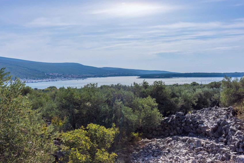 Vakantiehuis omgeven door mediterraan natuurlijk landschap en olijfbomen - VW-DBBGZ - foto 160