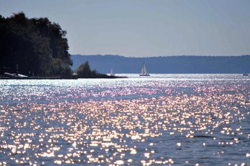 Müritz Ferienhaus - foto 34