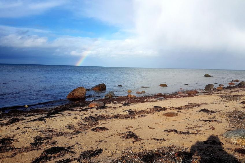 Ostseeblick - foto 36