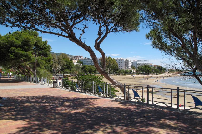 Palm Beach - foto 29