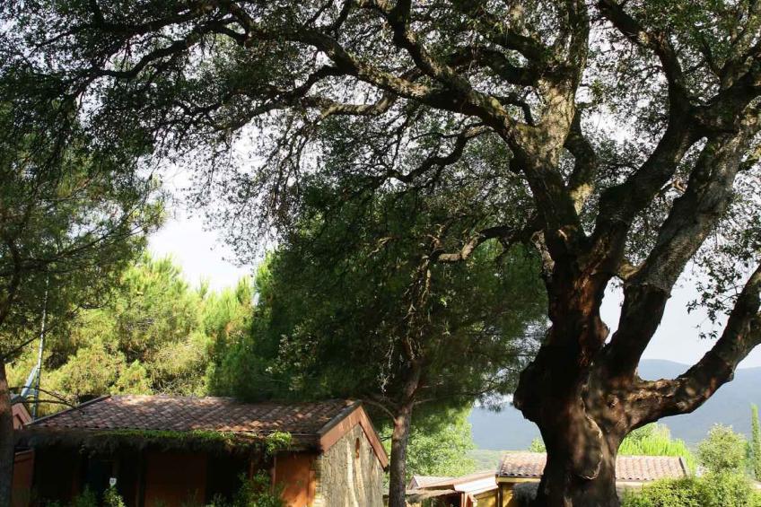 Holiday house in the tourist village Rocchette - BF-PX92 - foto 4