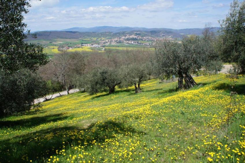 Montecorneo - Bilocale con soppalco - foto 40