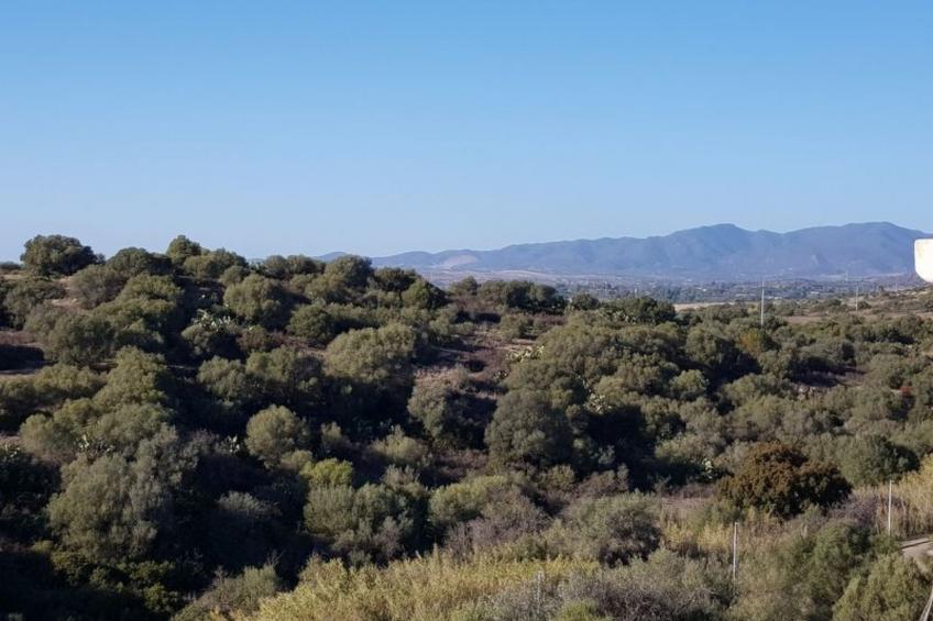 Su Niu Crobu - foto 21