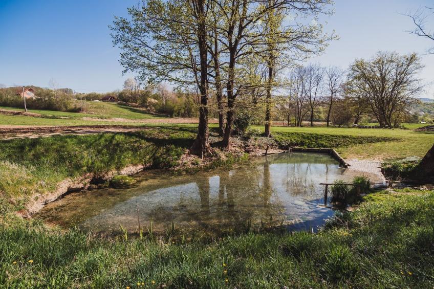 Cozy Luxe Holiday Home with Natural Thermal Bath - Seven Bedroom Holiday Home - foto 35