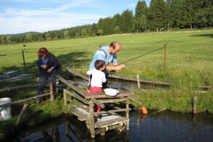 Wohnung in Haidmühle mit Terrasse und Garten - foto 16