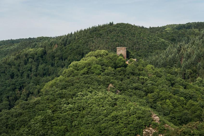 in Waldbreitbach mit Whirlpool - foto 28
