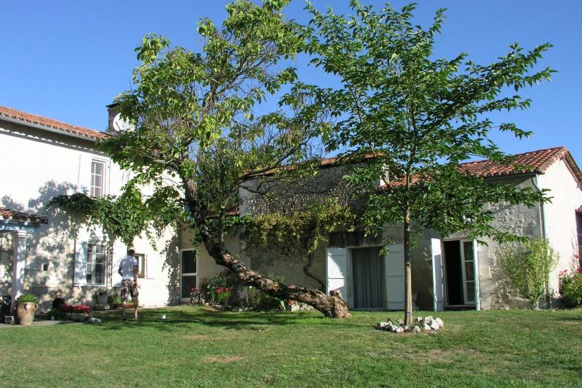 Swimmingpool, Garten, Aussicht, Stille, Kinder, Spielzeug - foto 4