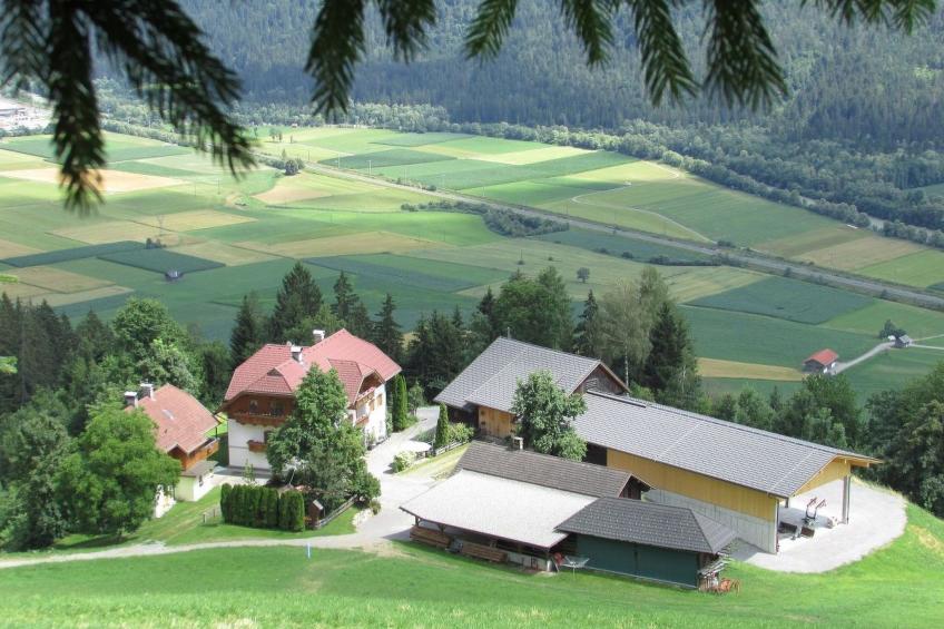 Waldpension in Steinfeld - foto 5