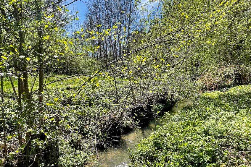 Haus Sabine - foto 8