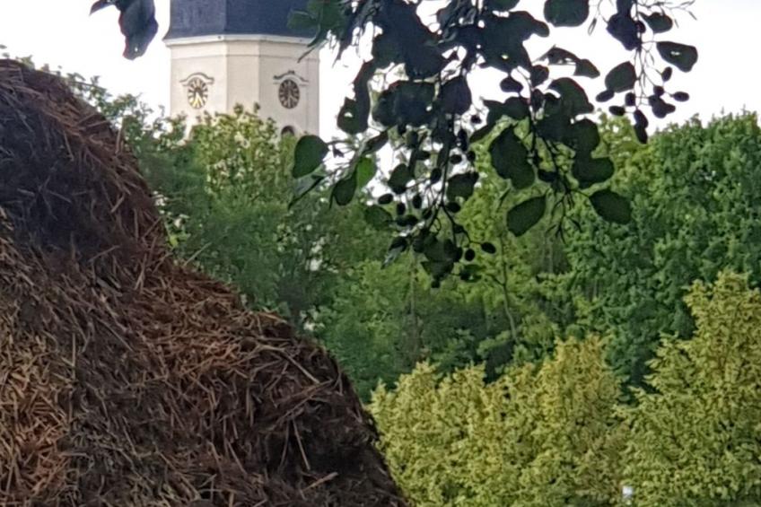 Spree Idyll - foto 22