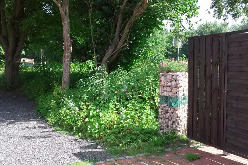 An der Königstrasse - foto 9