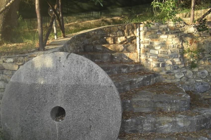 Strandnahe Ferienwohnung mit Garten und Grill - foto 43