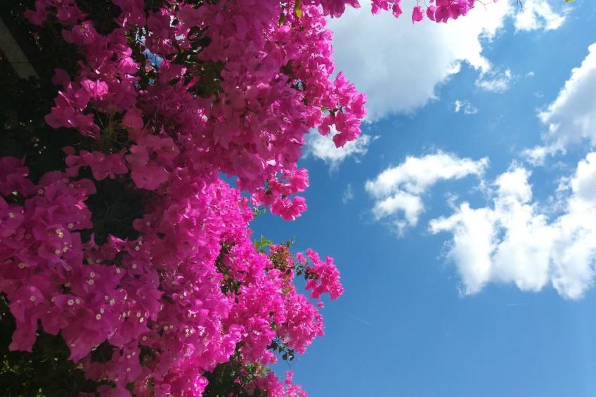 Studio Alonnisos Steni Vala Ikion  Studio 3 - foto 26