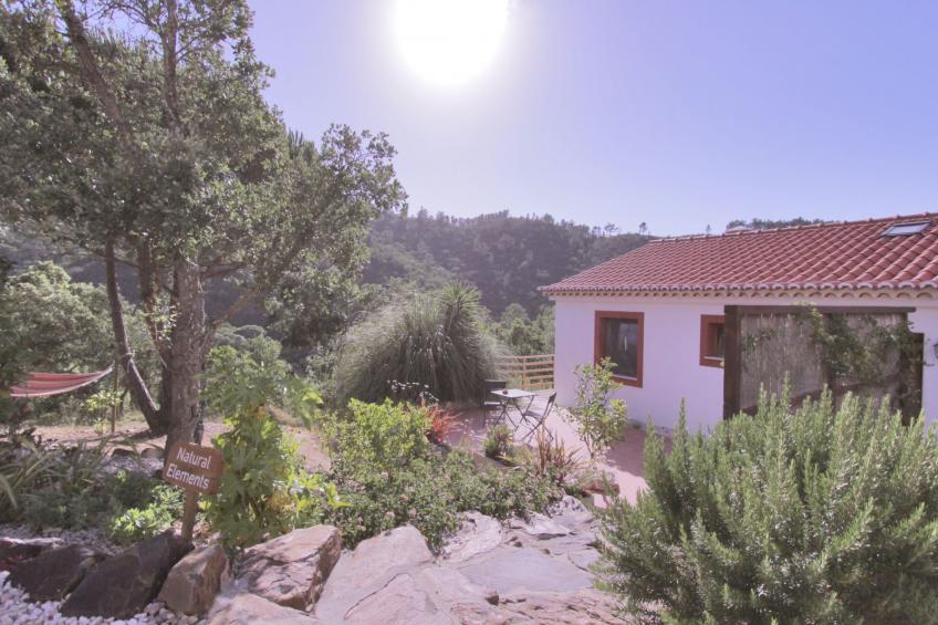 "The Natural Elements"