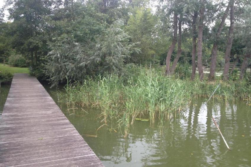 't Granzeke - foto 28