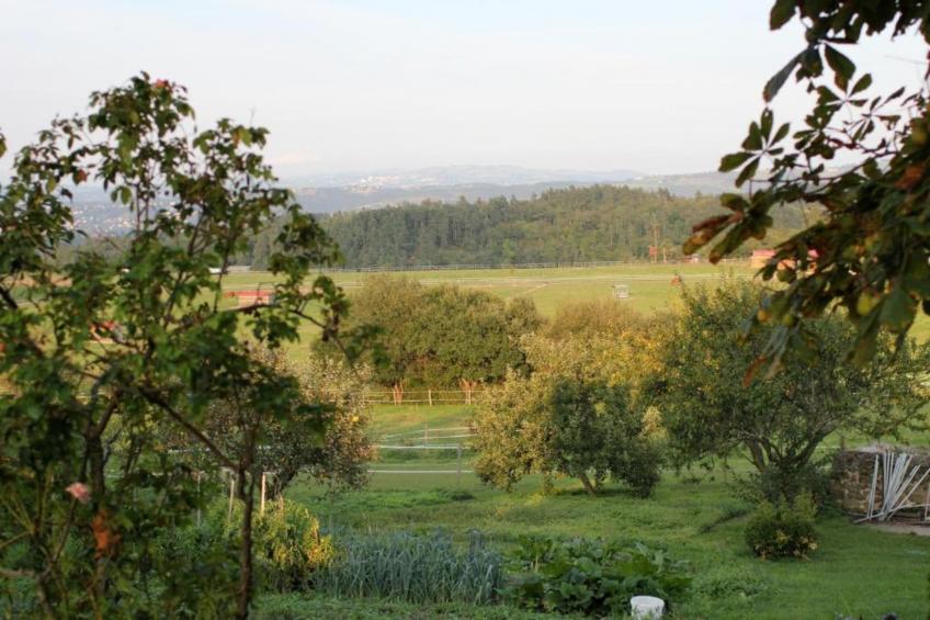 Domaine Les Forges 3 - foto 37