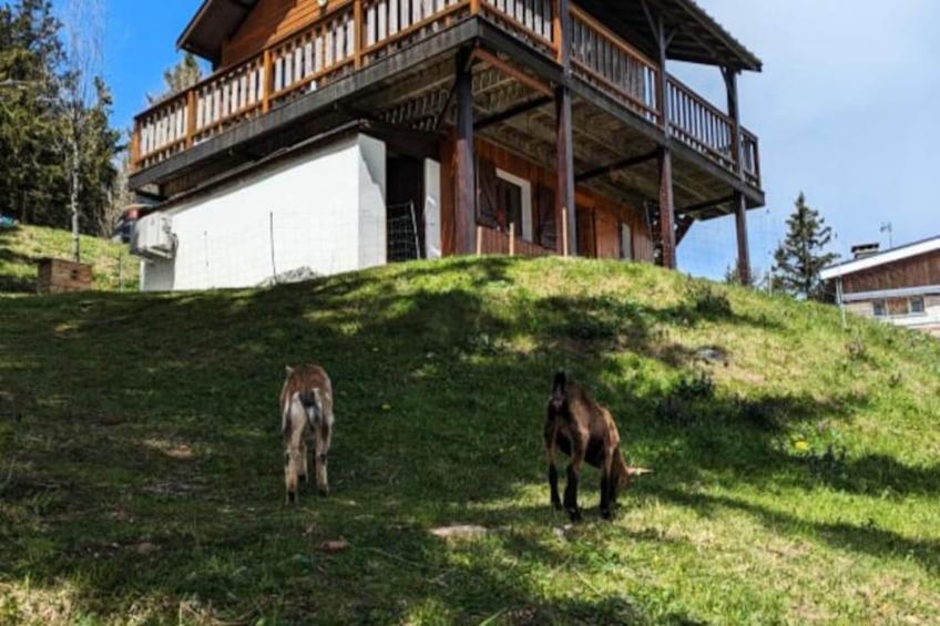 Magnifique Chalet , Vue Sur Le Mont Blanc - foto 49