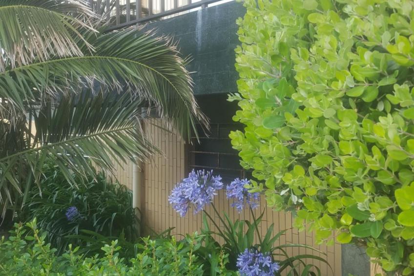 Beachhouse - foto 21