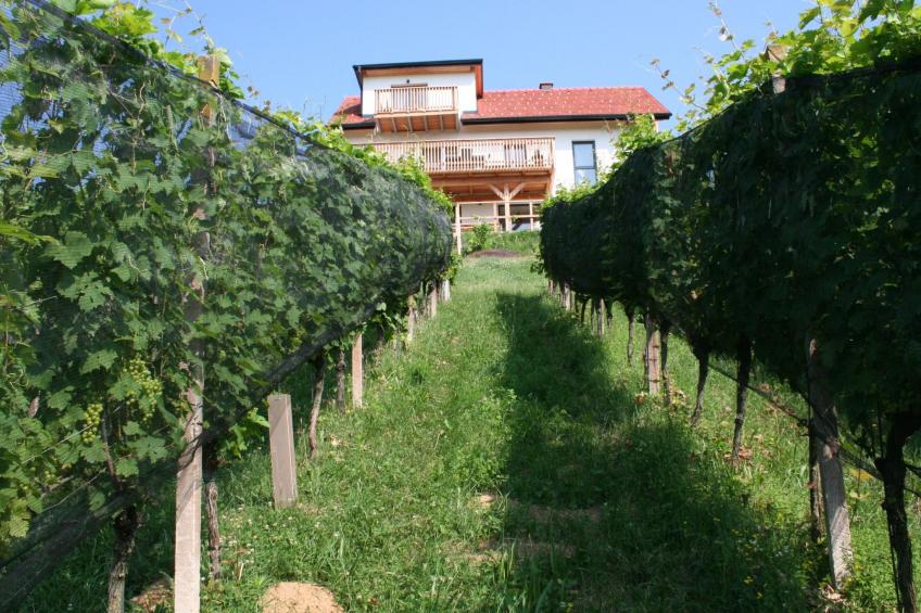 Rebenchalet - foto 30