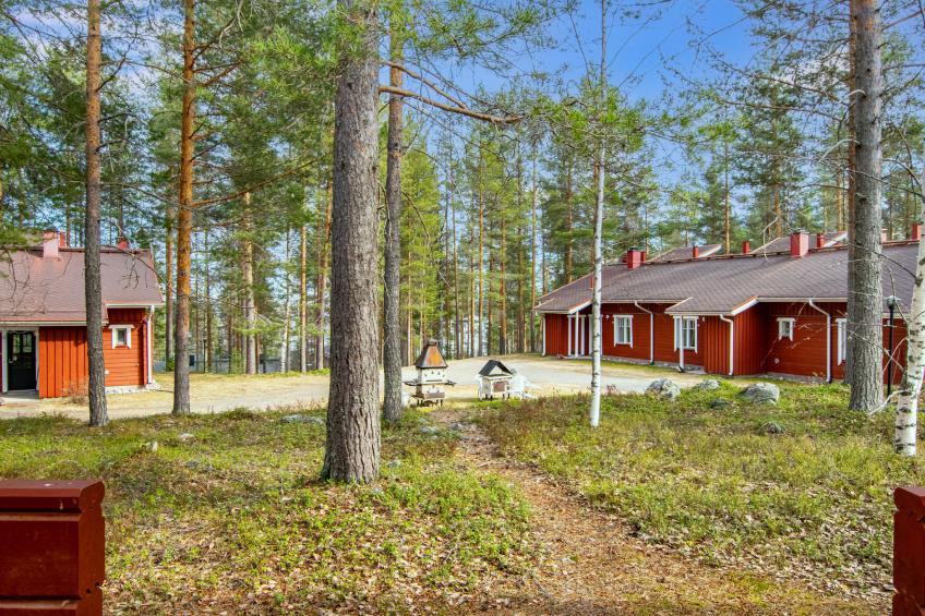 Koli country club d 12 - foto 12