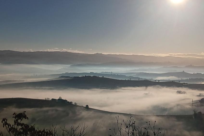 in Verduno mit Gemeinschaftspool - foto 19