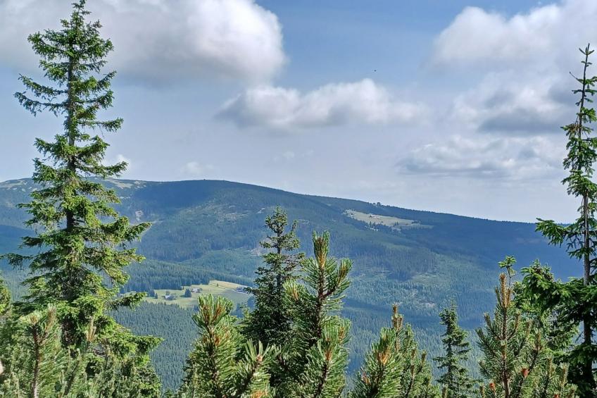 Happy Hill - foto 40