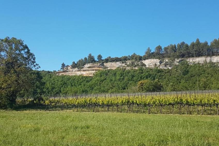 La Bastide des Chênes - foto 33