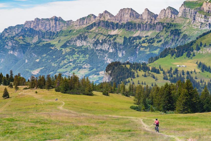 Altstadtidyll No. 2 - foto 29