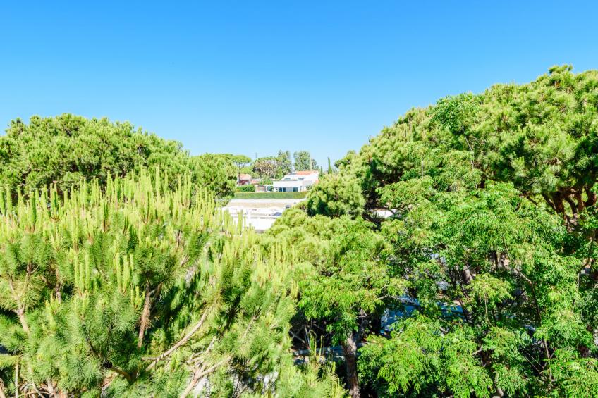 Jardins do Golfe Top Floor Retreat - foto 26