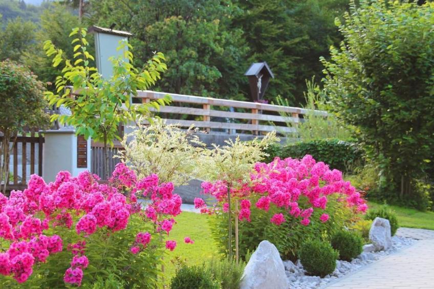 Fewo Alpspitze - foto 17