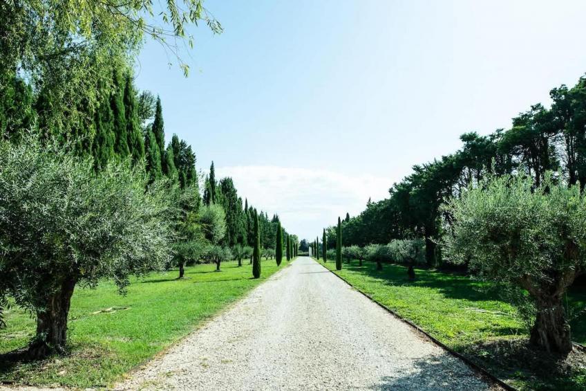 Charmant Mas Provençal avec piscine et jacuzzis - foto 94