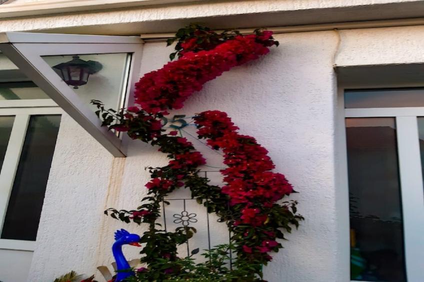 Apartments Snjezana - Two Bedroom Apartment with Balcony and Sea View A2 - foto 13