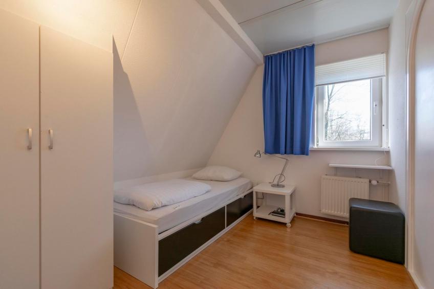 Campanula 52 - foto 20