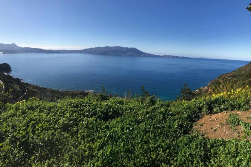 Seaview Studio 1 - foto 33