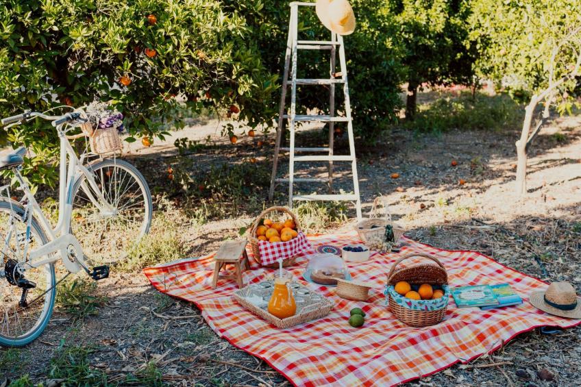 Studio auf dem Lande - foto 2