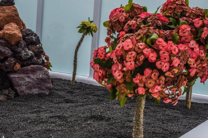 Apartamento con terraza - foto 6