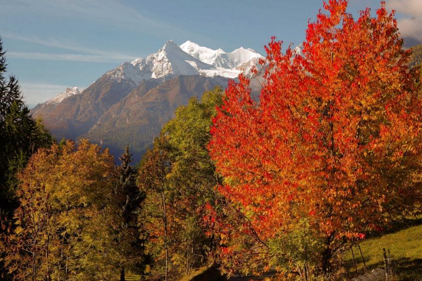 Chalet 1679 - foto 27