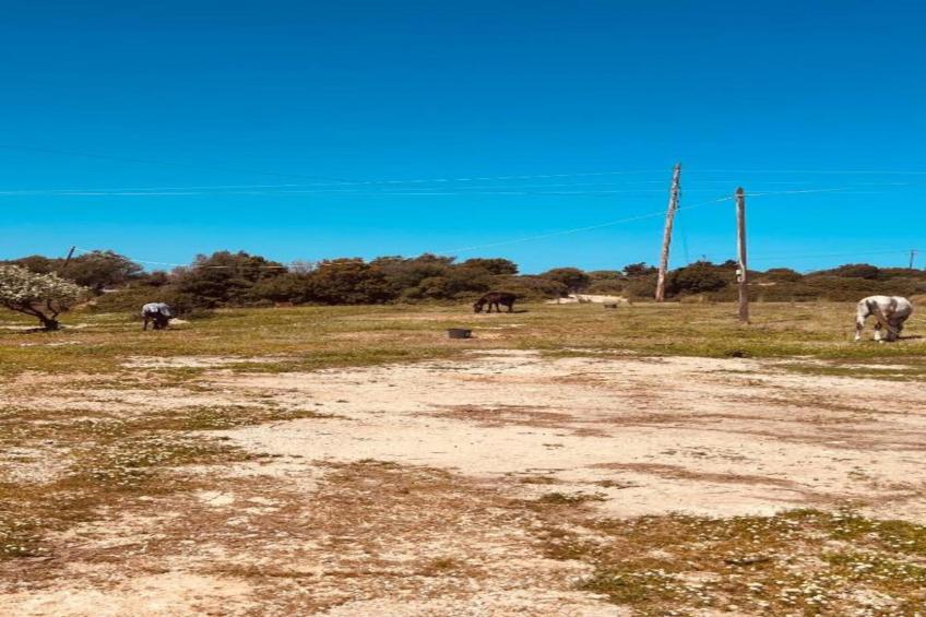 Villa Olympos - foto 27